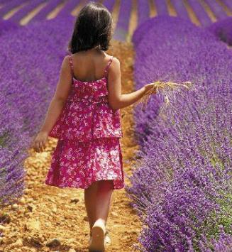 Lavendel_Kind im Lavendelfeld.jpg