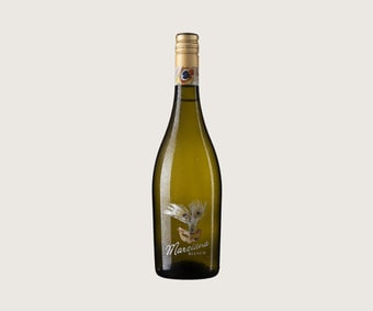 Grüner Veltliner Privat Qualitätswein trocken Niederösterreich Weingut  Stadt Krems (00979) | online bestellen!
