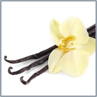 Hochwertige Zutaten für das beste dolcedo-Eis: Vanille