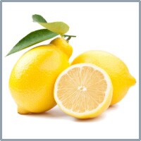 Hochwertige Zutaten für das beste dolcedo-Eis: Zitrone