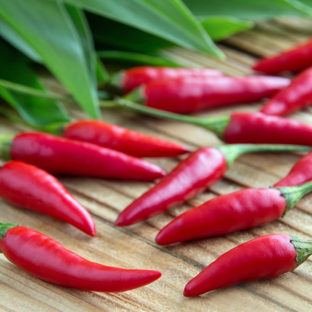 red-chili-pepper-and-ram-sons-leaves-picture-id1125019576.jpg