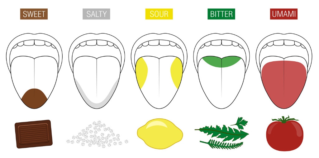 tongue-taste-areas-illustration-with-five-sections-of-gustation-sweet-vector-id1016006460.jpg
